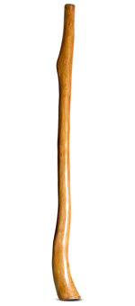 Gloss Finish Flared Didgeridoo (TW1056)